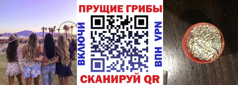Галлюциногенные грибы Cubensis  Северо-Курильск 